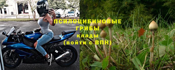 трава Слюдянка