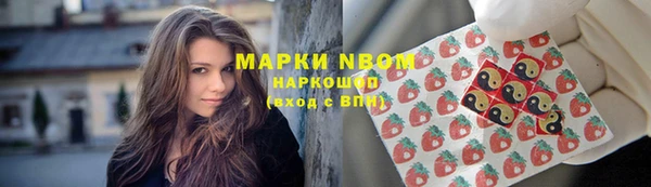 трава Слюдянка
