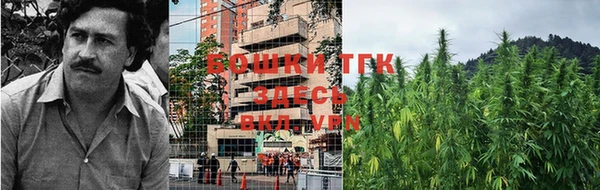 трава Слюдянка