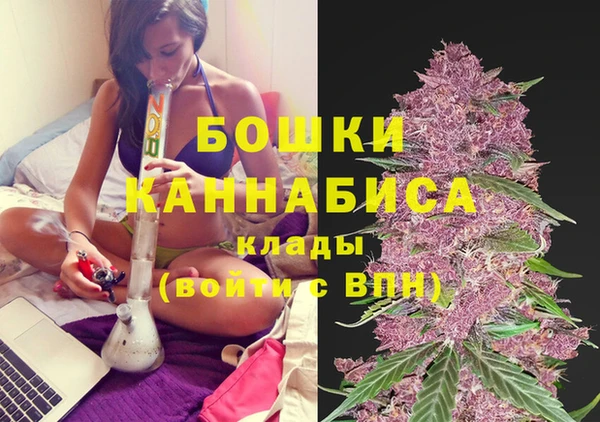 трава Слюдянка