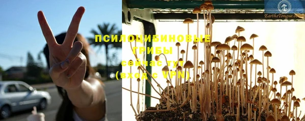 трава Слюдянка