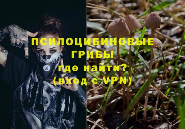 трава Слюдянка