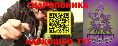 прущие грибы Аргун