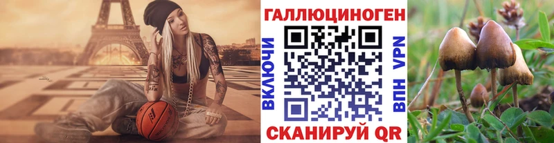 Псилоцибиновые грибы ЛСД Калининград