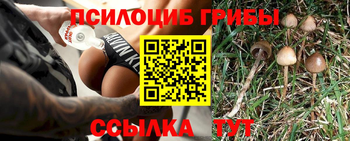 Псилоцибиновые грибы ЛСД Калининград