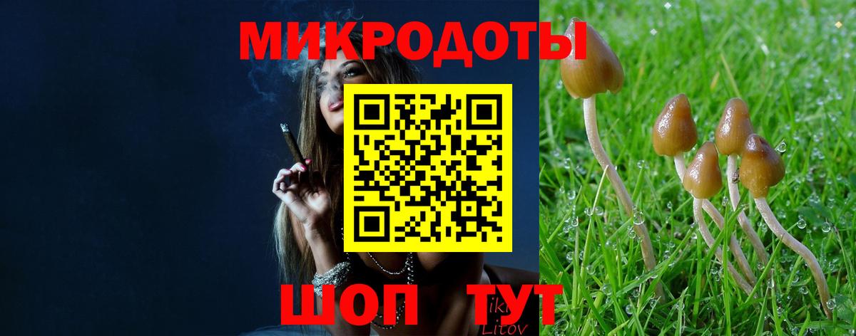 Псилоцибиновые грибы Psilocybe  Псилоцибиновые грибы MAGIC MUSHROOMS  Калининград 